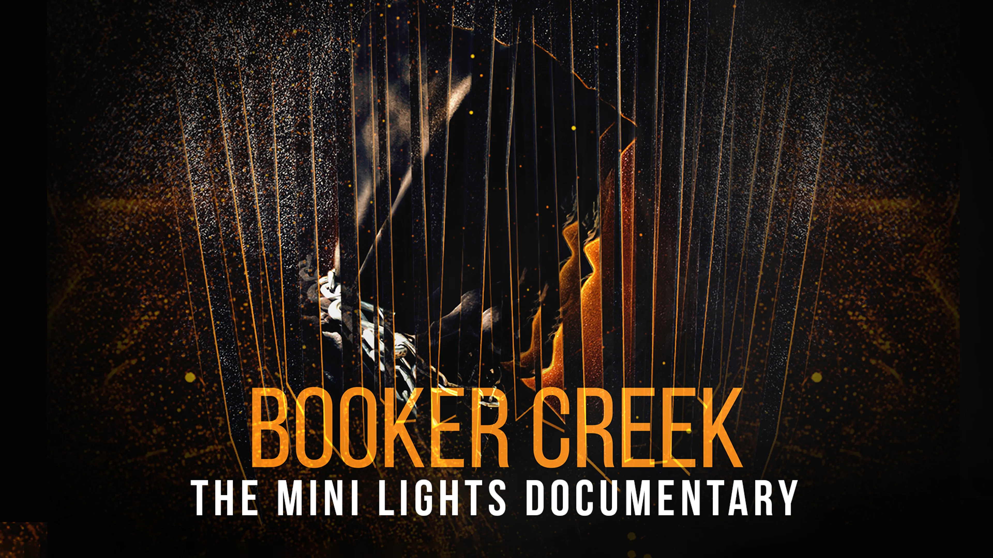 Booker Creek: The Mini Lights Documentary poster